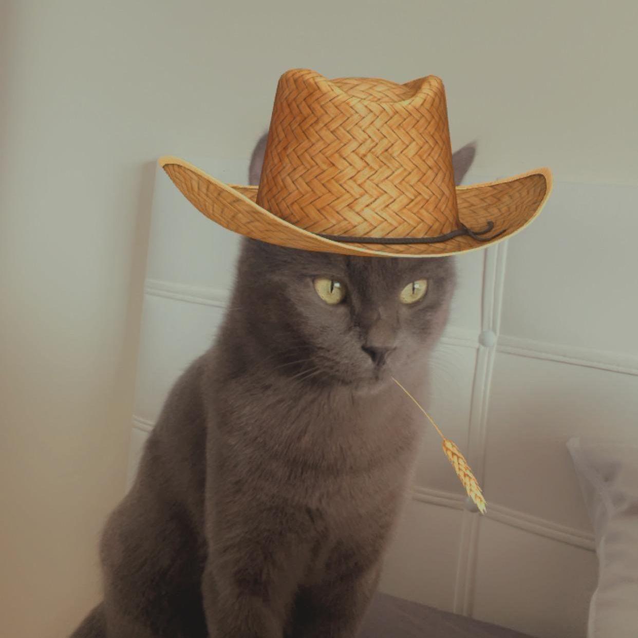 Demooo avatar
