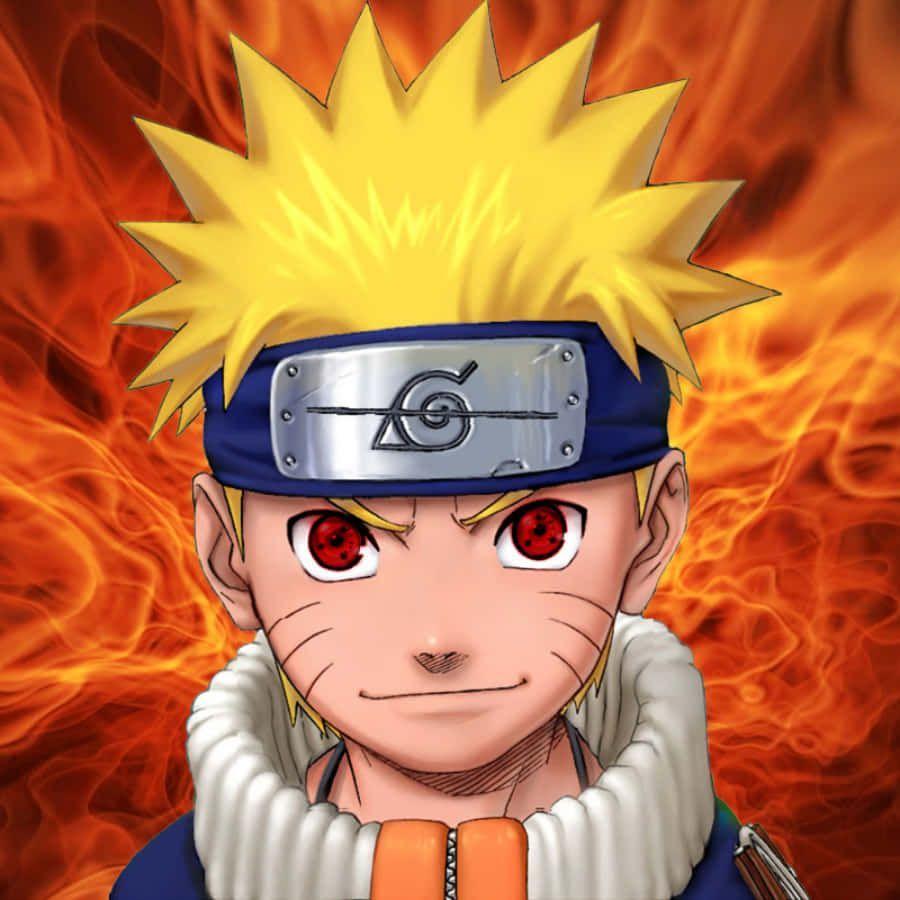 japinhacs avatar