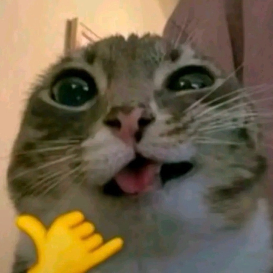 AAr1St0cRaT FACEIT avatar