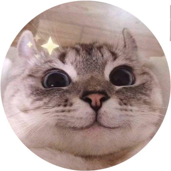 miYki avatar