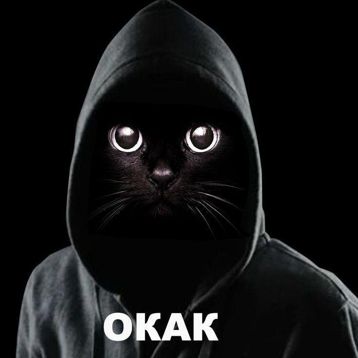 DzhangoXD avatar