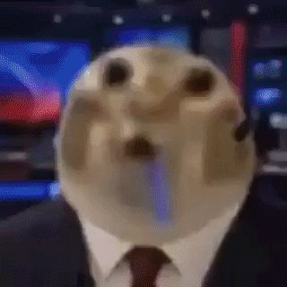 xZok0pops FACEIT avatar