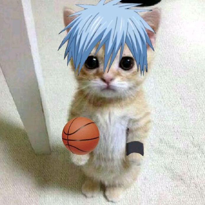 kuroko_11_15 avatar