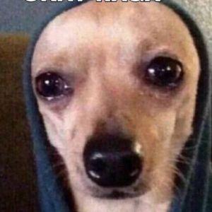 doggonogog