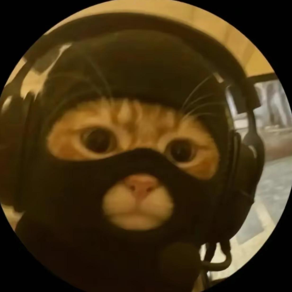 sanoiaraboy avatar