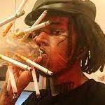 1vvo avatar