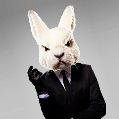 Rabbit911 avatar