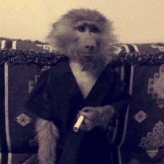 A3A4T0STOB0Y avatar