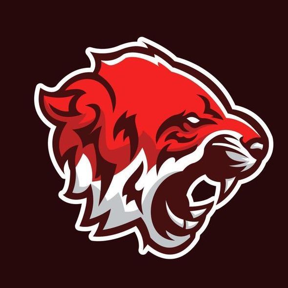 Team_RedTigerz