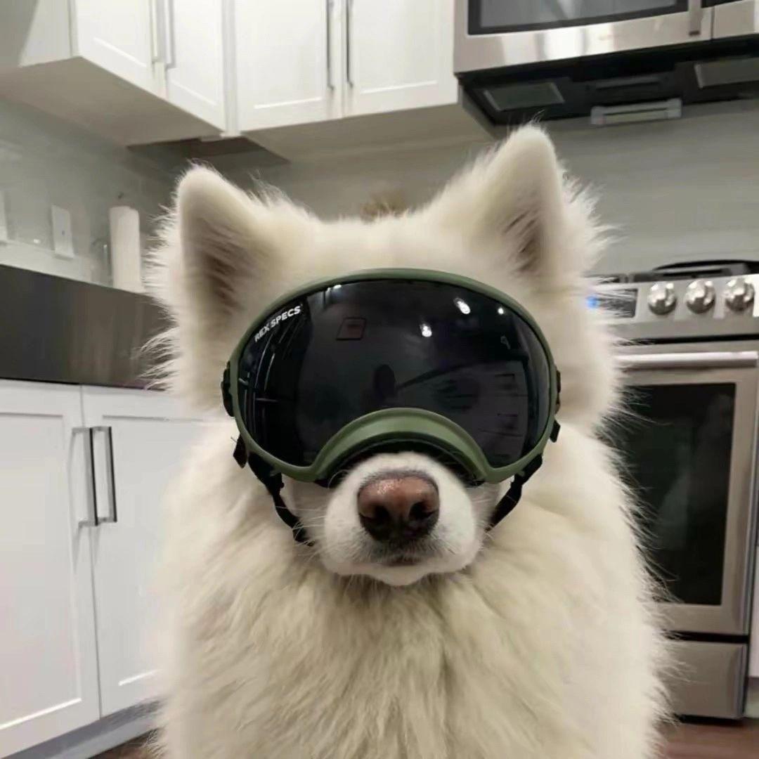 mxvxra avatar