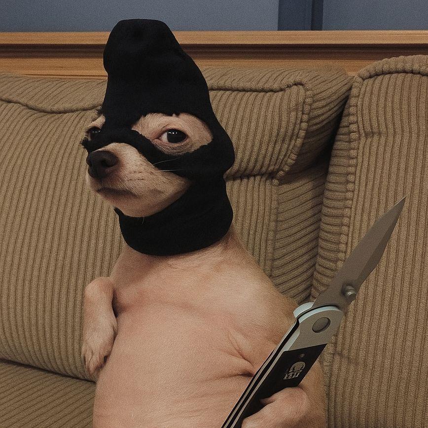 Sk1llerss avatar