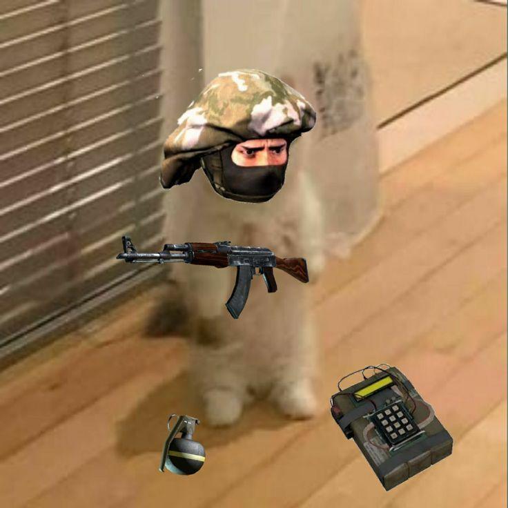 533K avatar