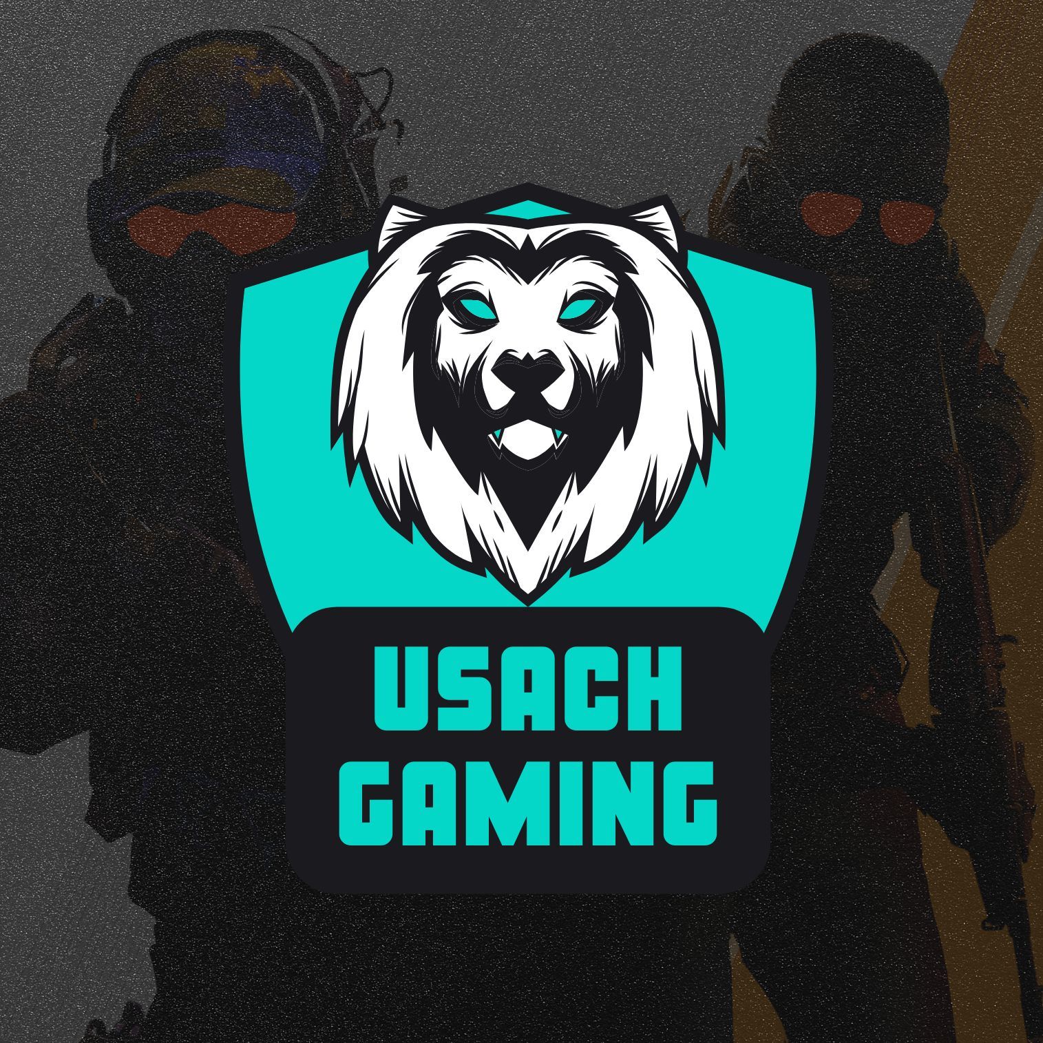 Usach Gaming CLAN