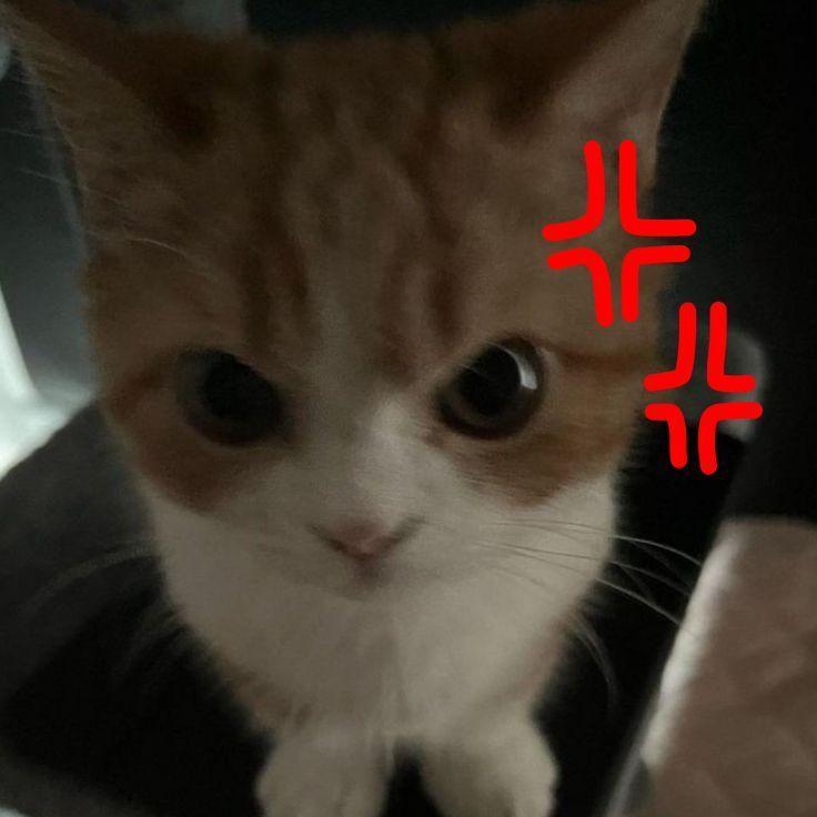 cocacolaka avatar