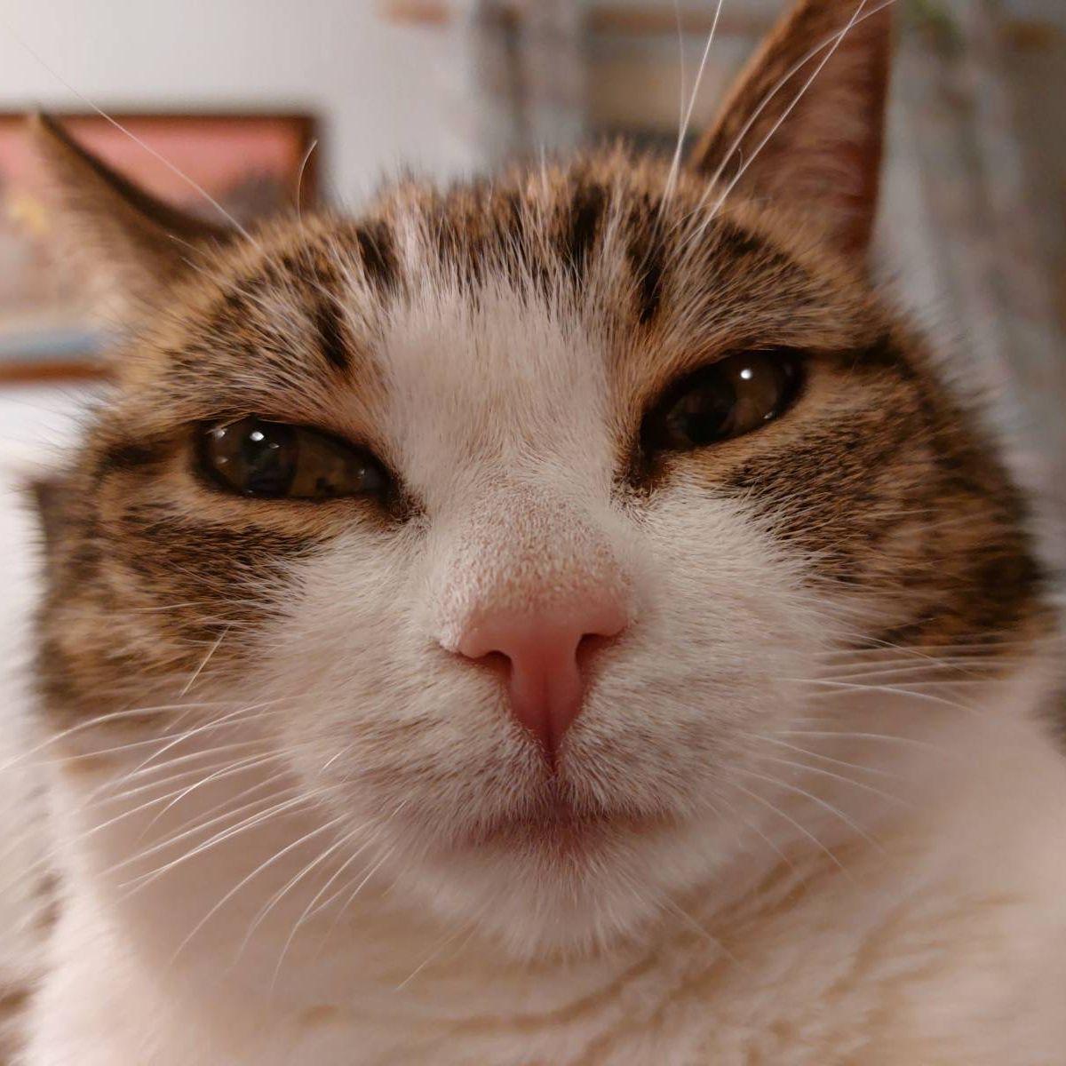Coping_Brian avatar