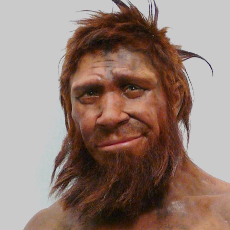 NeanderthaI FACEIT avatar