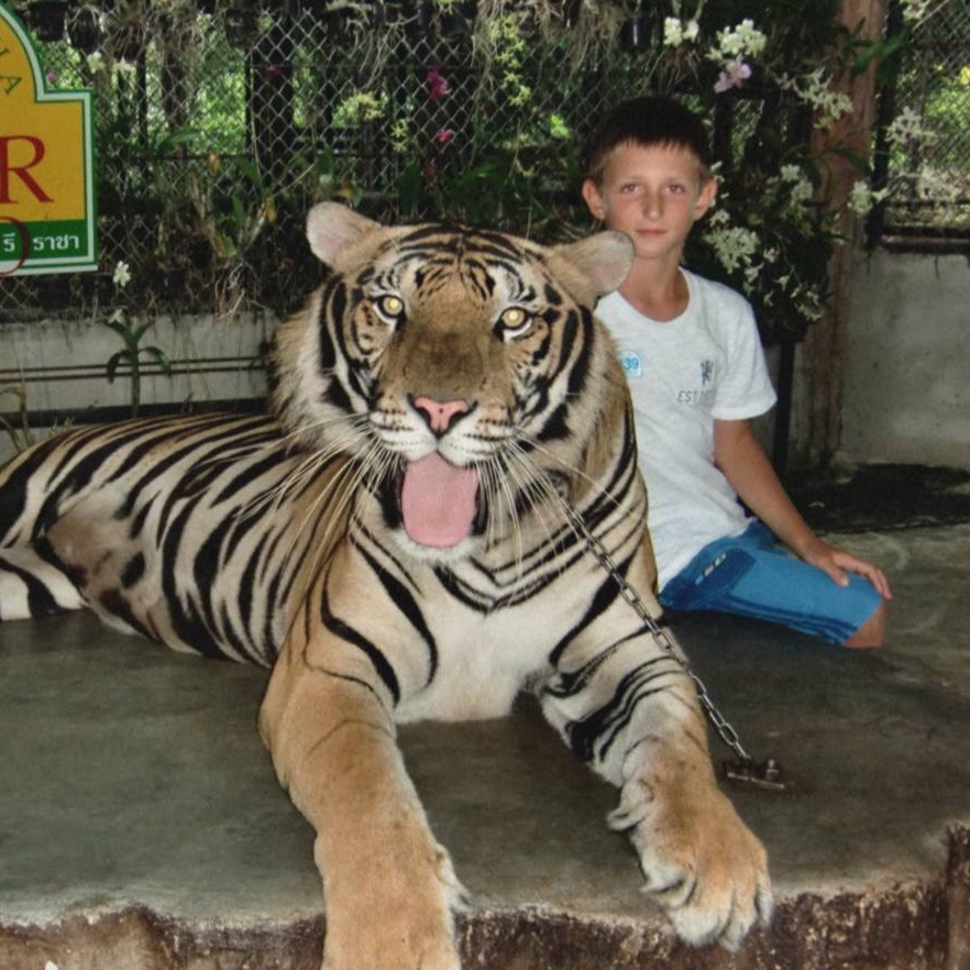 Golubok_52