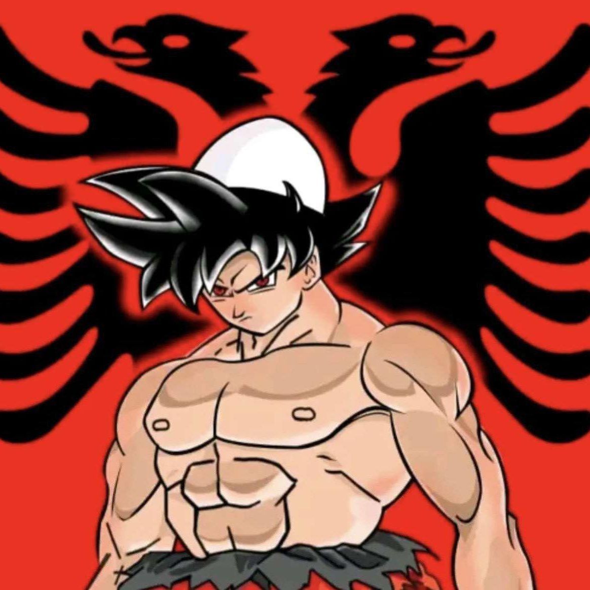 team_G0KUSSJ2