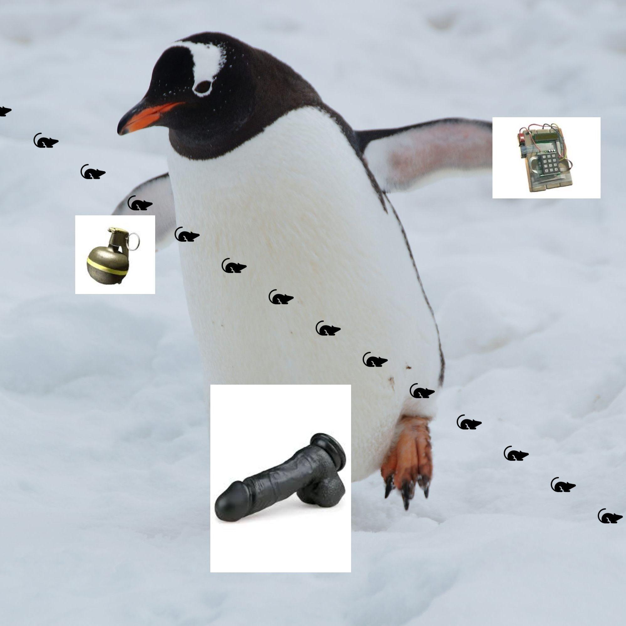 Snailian avatar