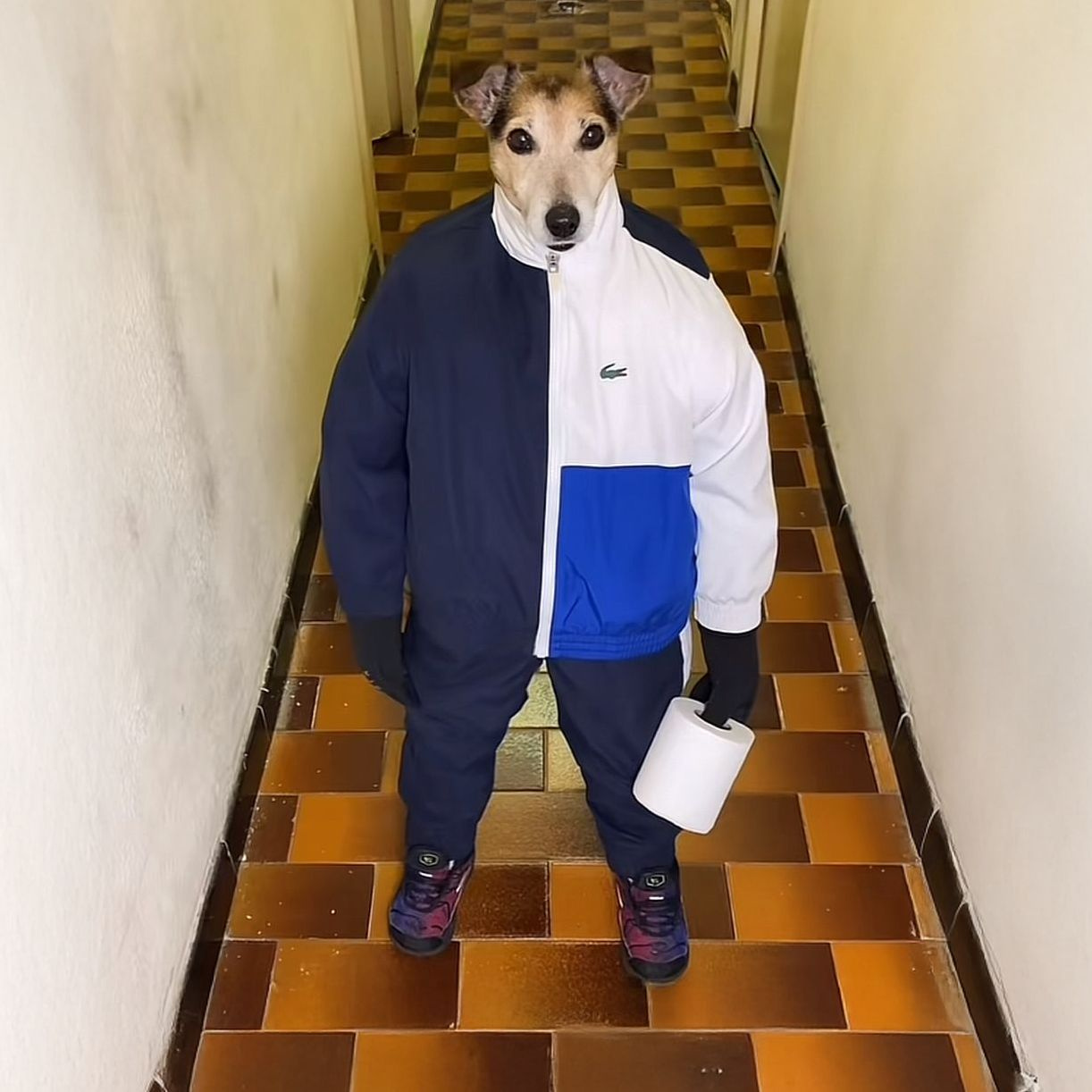 turbodogs