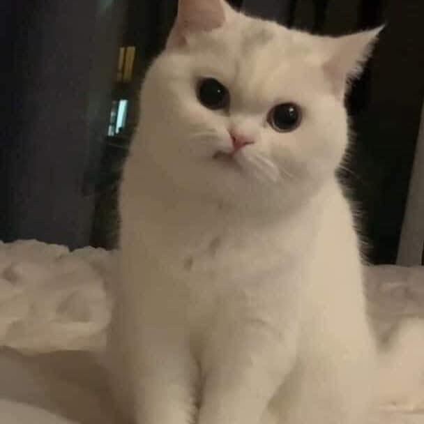 DuongVanMinh avatar
