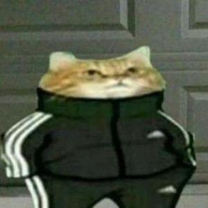 Fluffywolfik avatar
