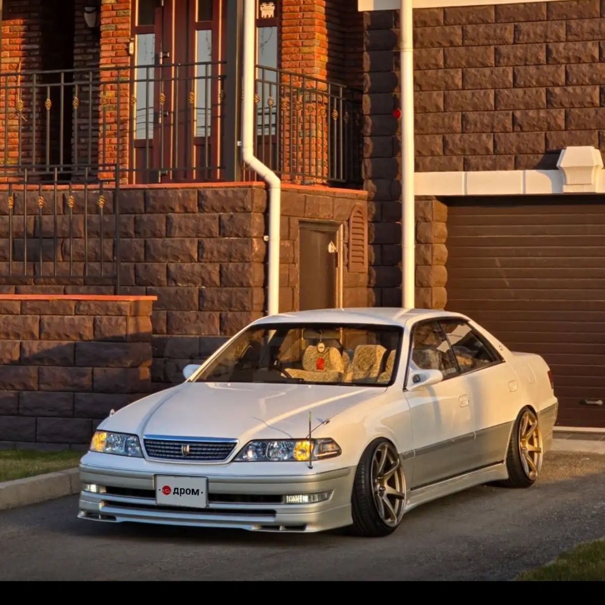 _Senv1x_