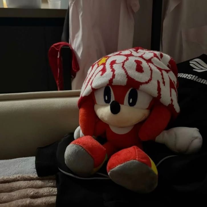 notB1ceps FACEIT avatar