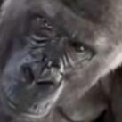 MIXIKPAI avatar