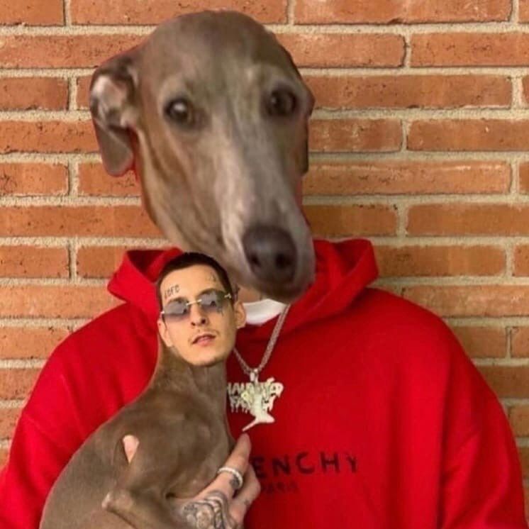 __HeK1T__
