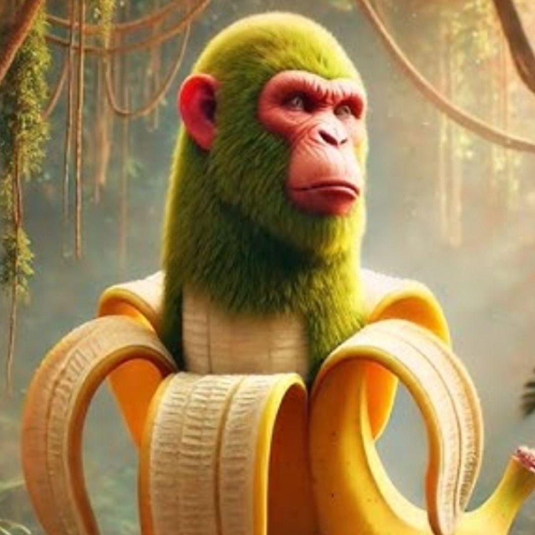 shapmanzini avatar