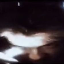 psychok1d__
