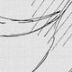 _ts___ avatar