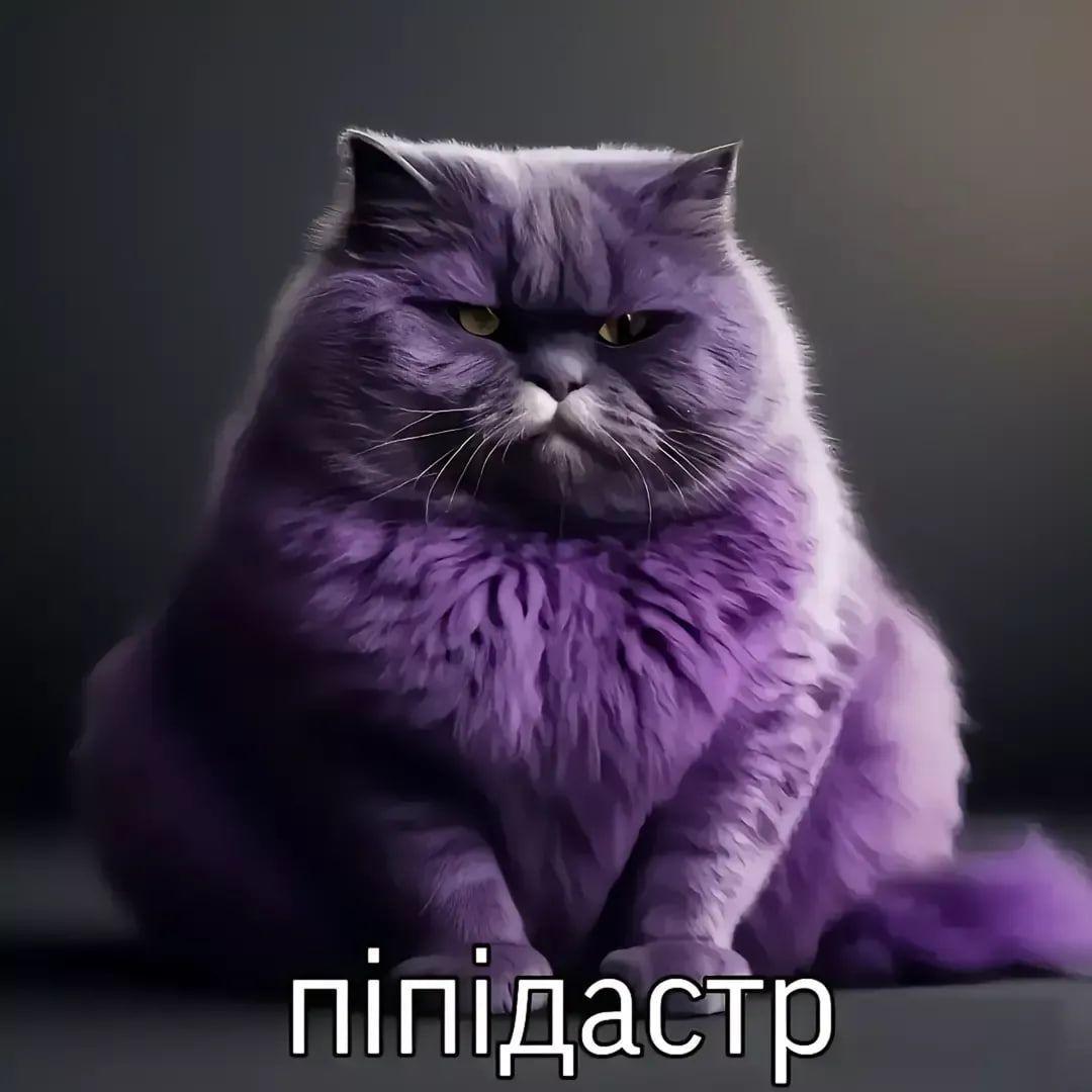 lindybtw1 avatar
