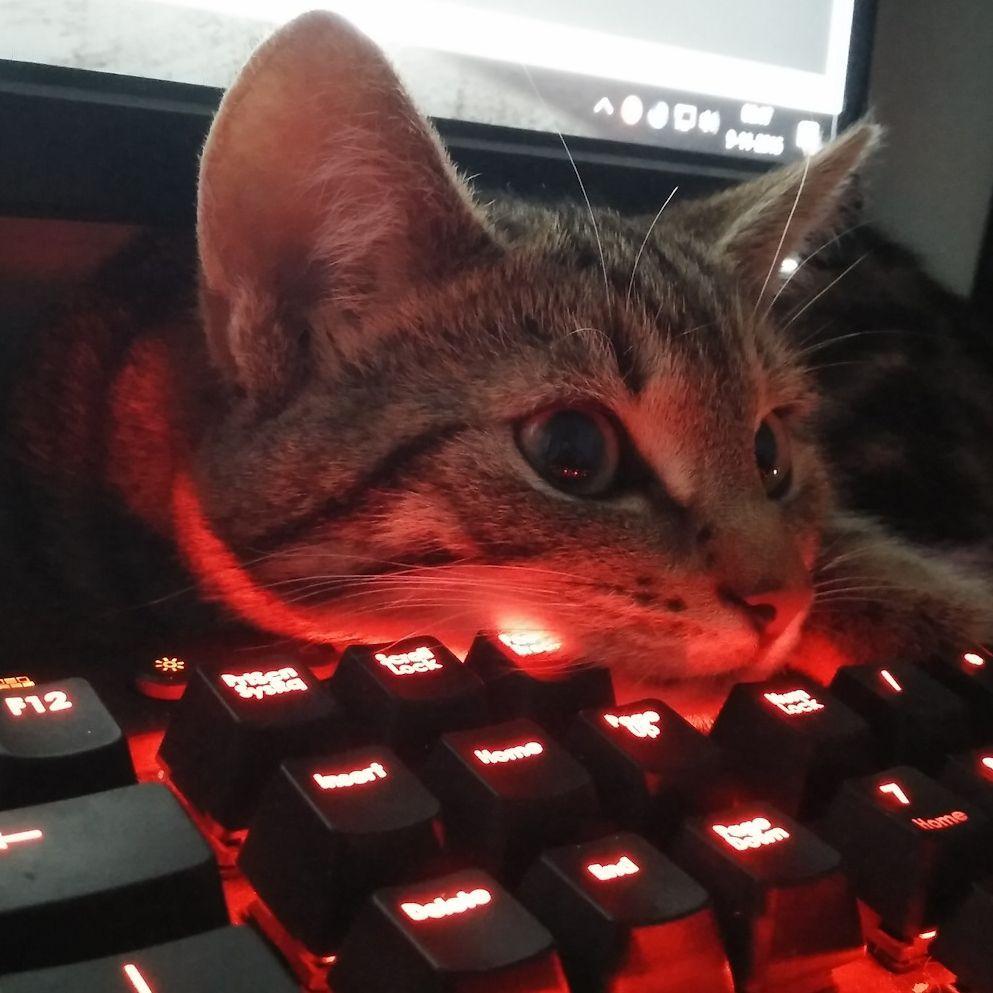 fRuppiz avatar
