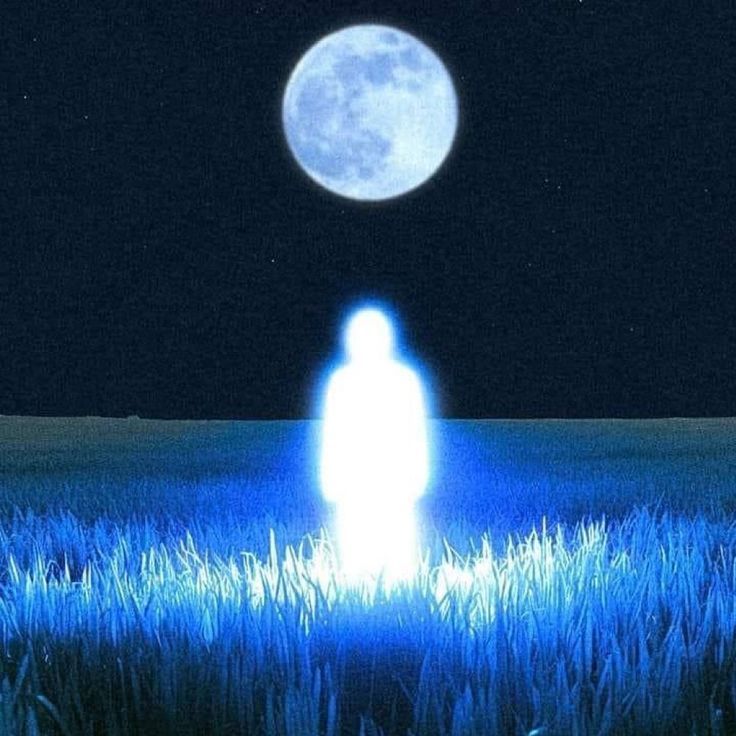moonkite