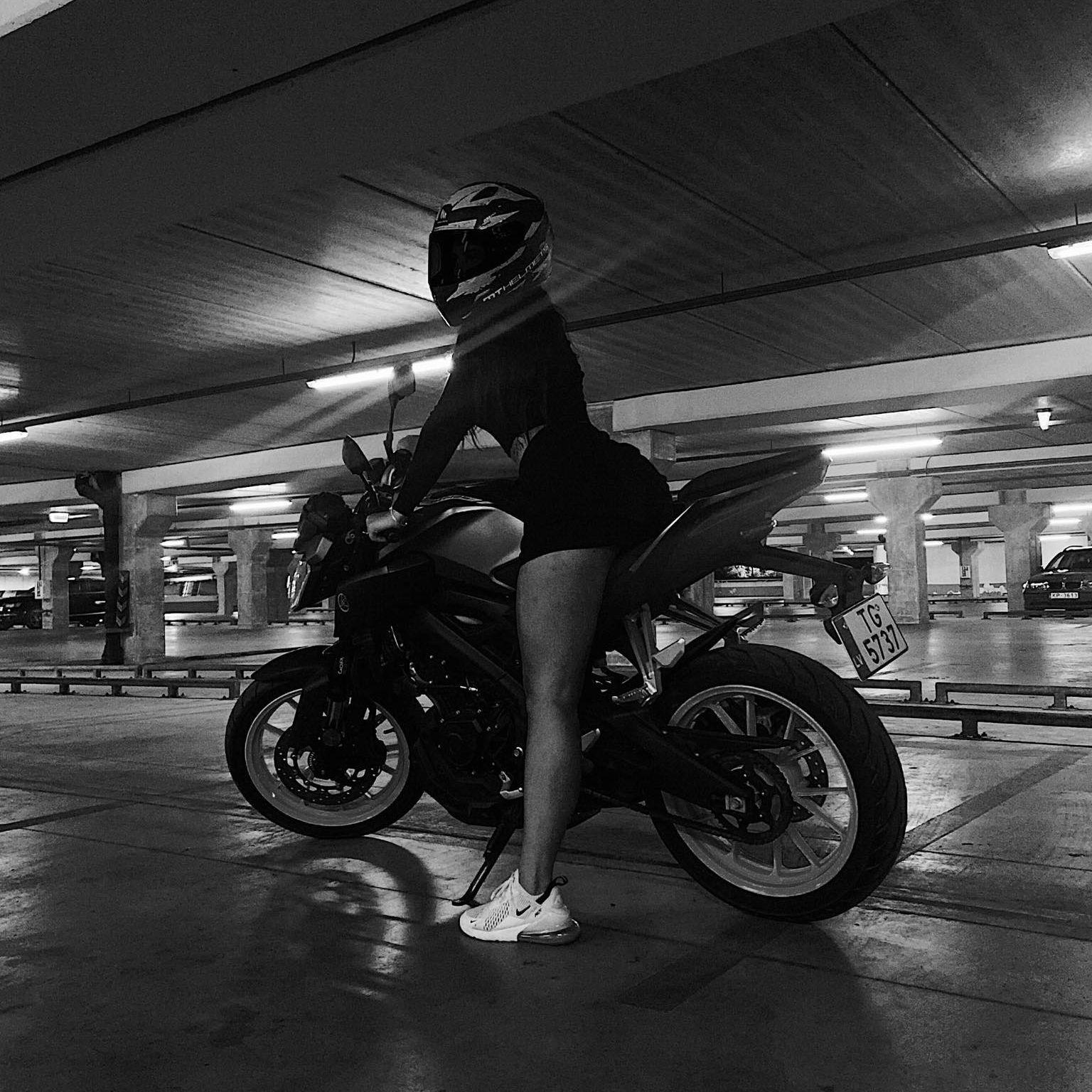 pimpauss avatar