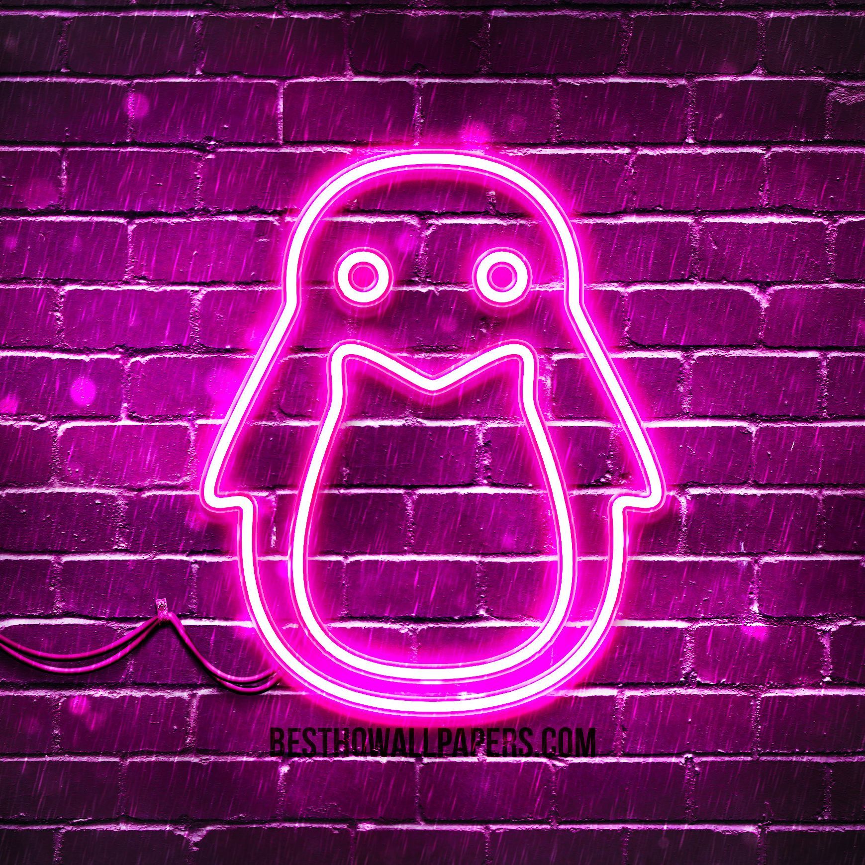 FETR_ONE