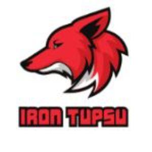 IronTupsuYT avatar