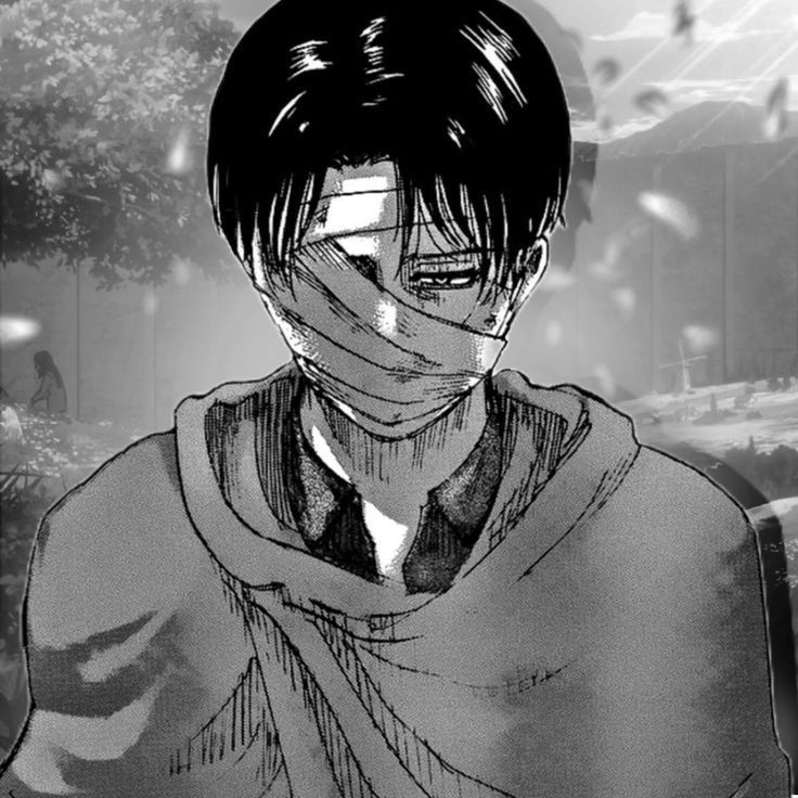nikolami