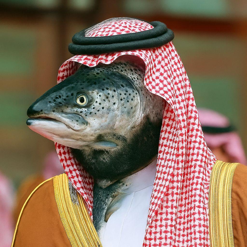 BinSalmon avatar