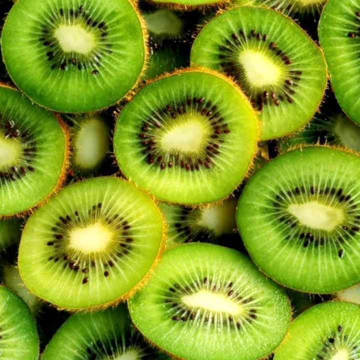 KIWI1563