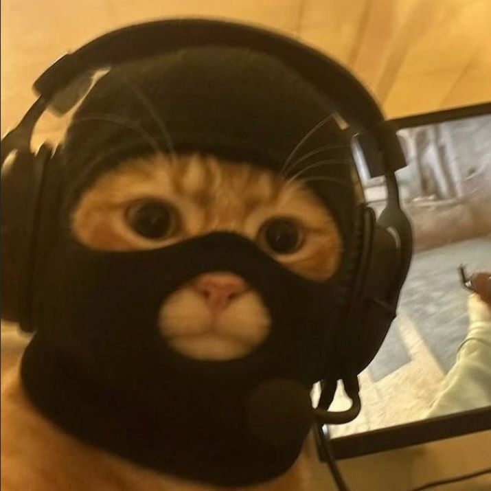 HOLEXSinho