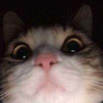 JeeMy_ avatar