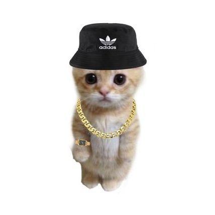 iBear96 avatar