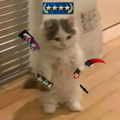 AlexJDXD