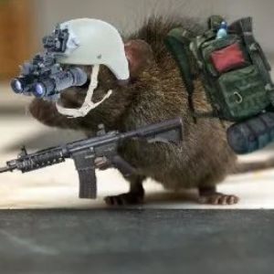 ratshooter