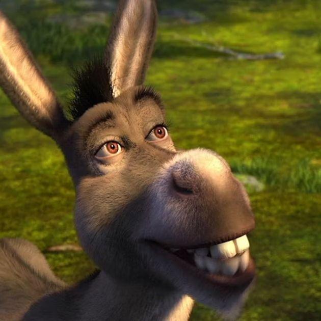 YourDonkey avatar