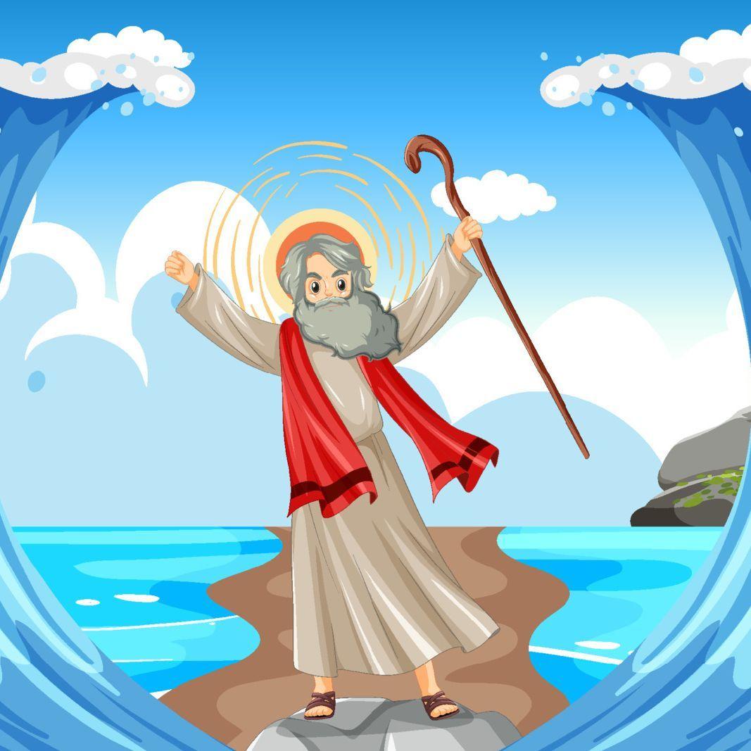m0SES avatar