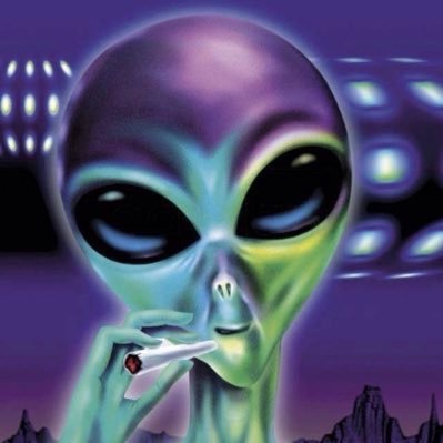 ayp123 FACEIT avatar